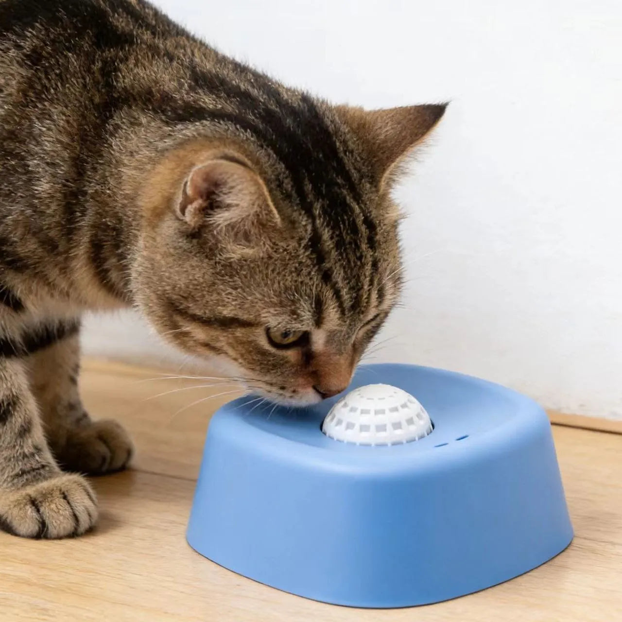 Dog Slow Feeder Bowl