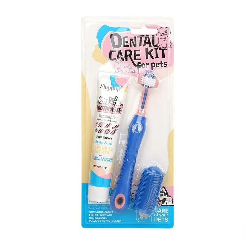 Dental Care Kit