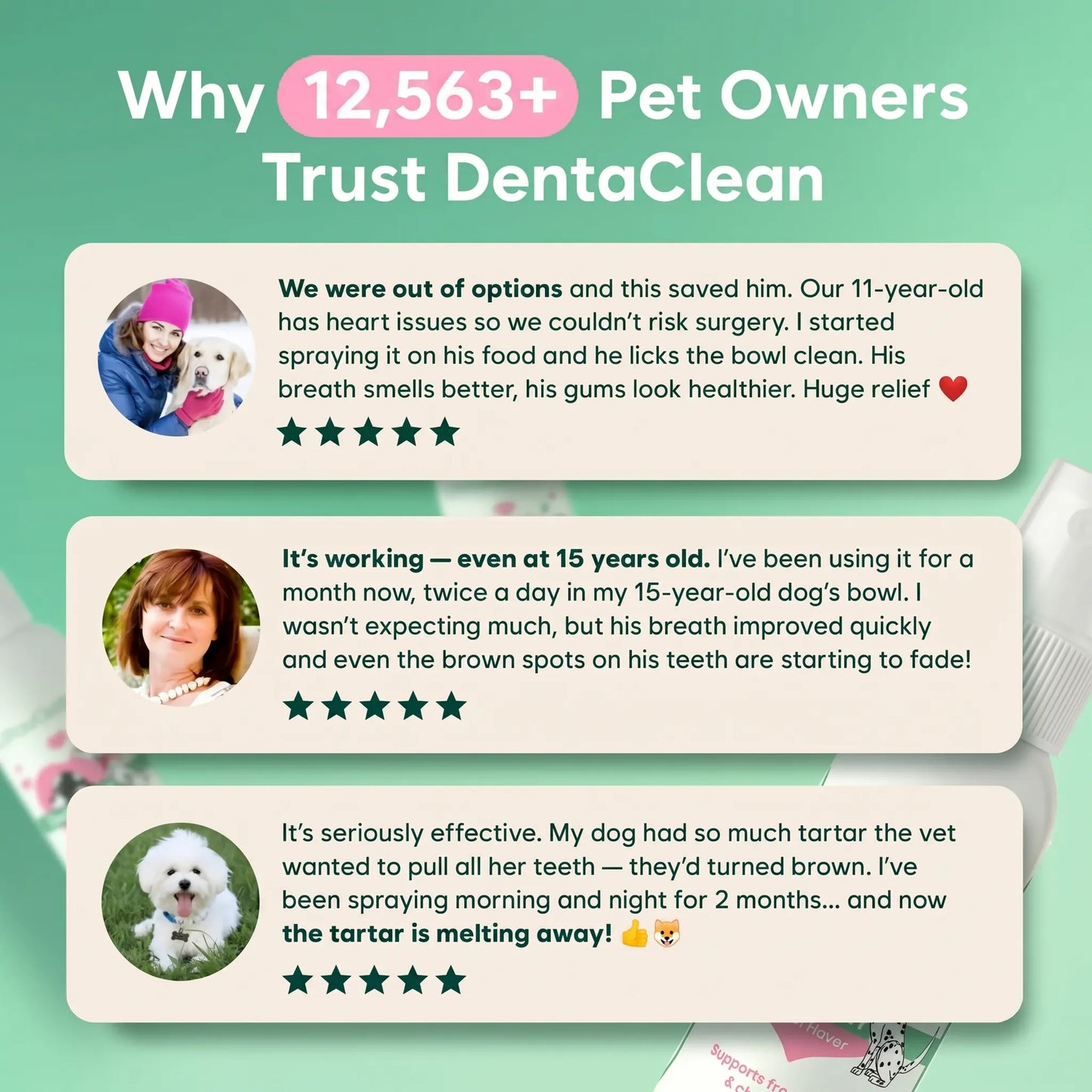 Toothcare dental spray for dogs