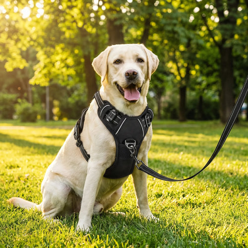 Dog Harness Chest Strap