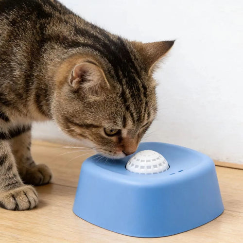 Dog Slow Feeder Bowl