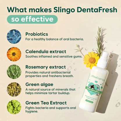 Toothcare dental spray for dogs