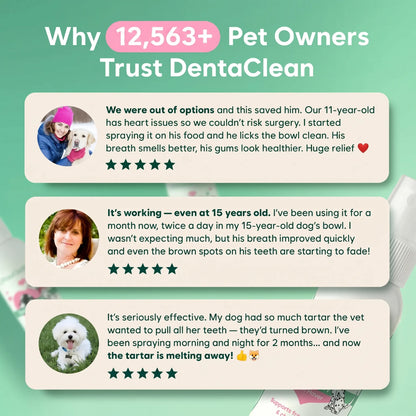 Toothcare dental spray for dogs