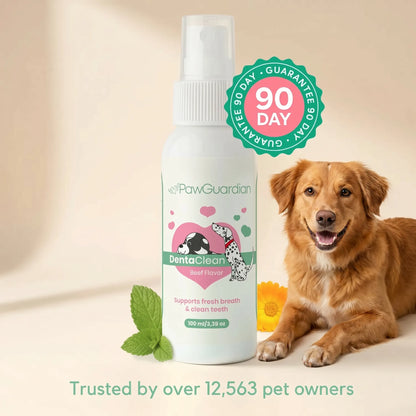 Toothcare dental spray for dogs